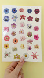 Planche de stickers fleurs A5 🌸