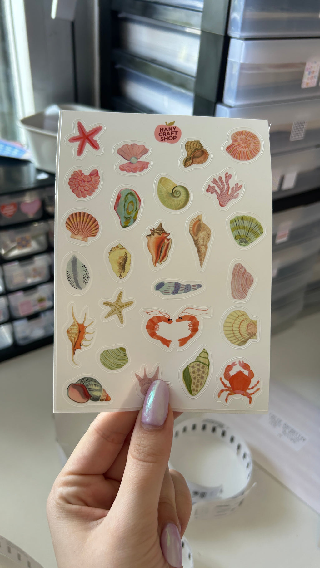 A6 Mini-Muschel-Aufkleberbogen 🐚
