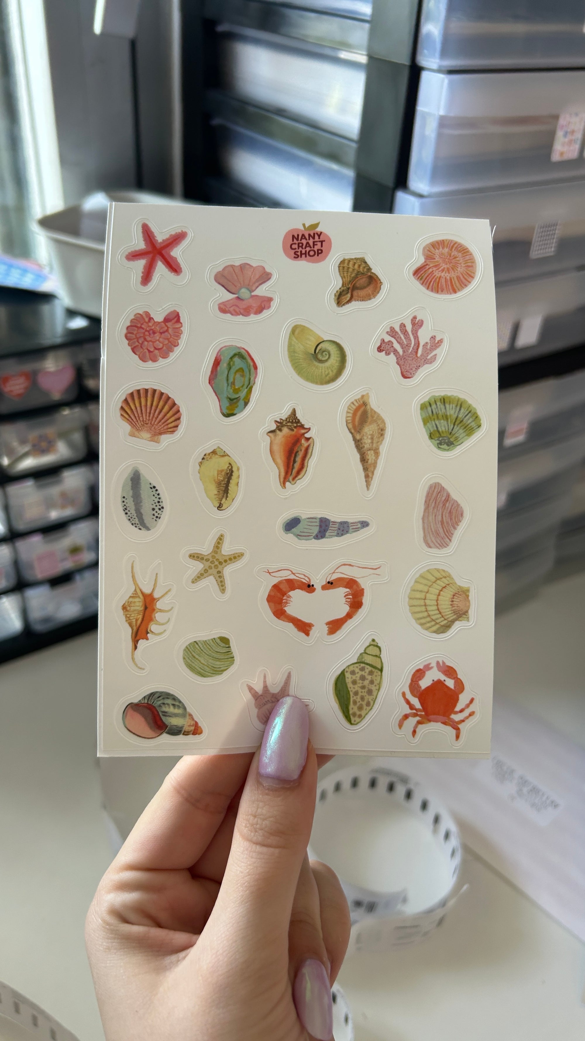 Planche stickers minis coquillages A6 🐚