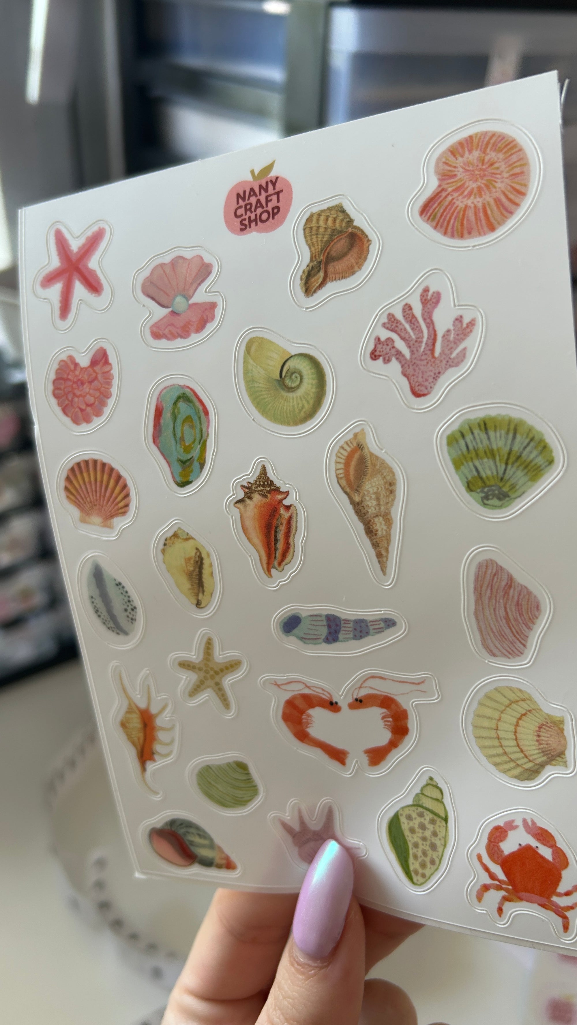 Planche stickers minis coquillages A6 🐚