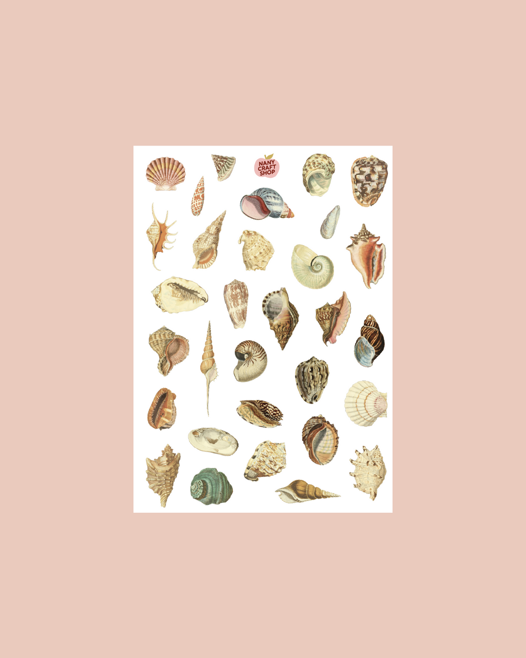 Planche stickers coquillages transparents A5 🐚