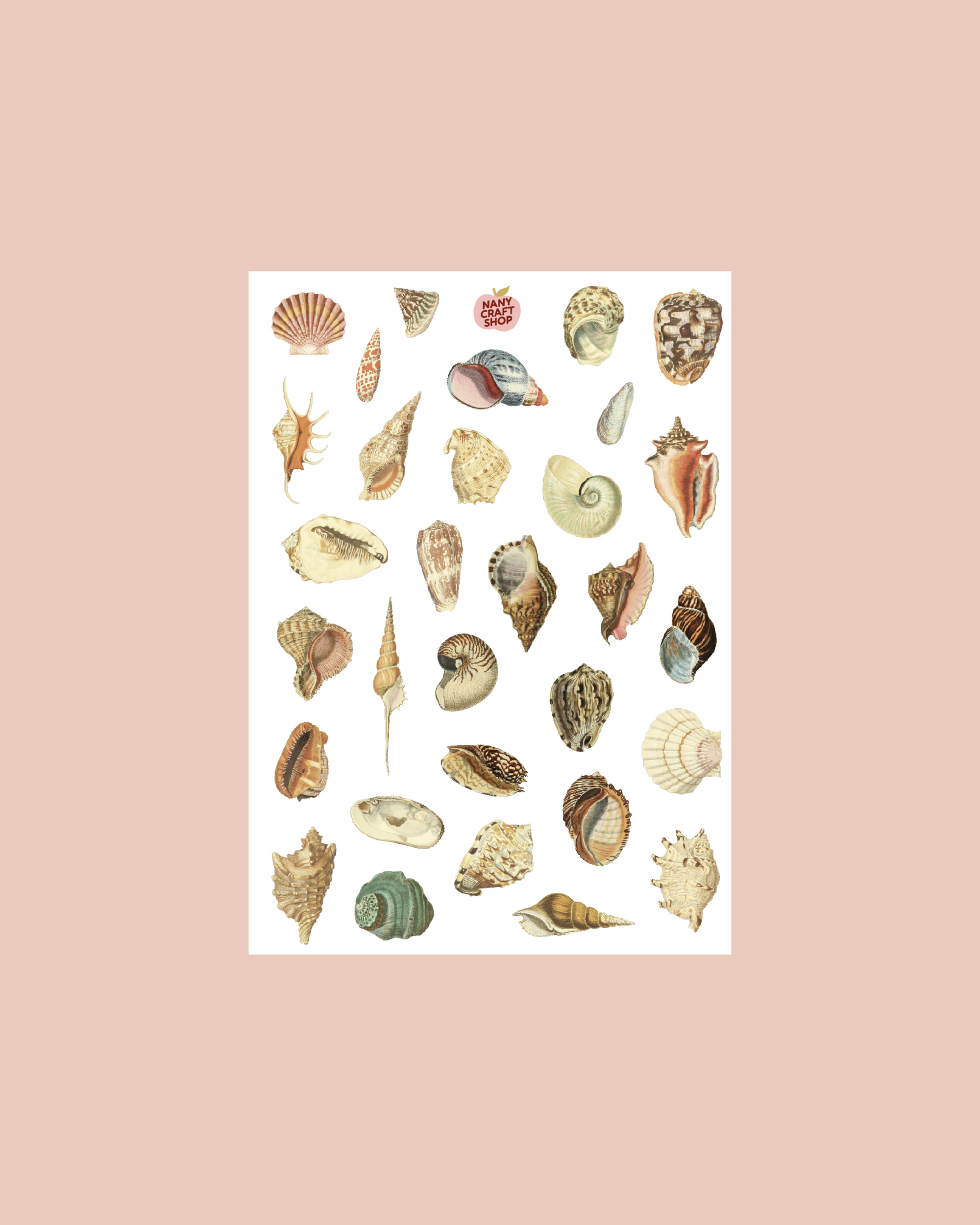 Planche stickers coquillages transparents A5 🐚